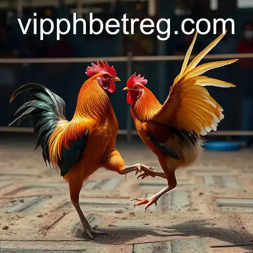 Exploring the Digital Arena of Online Sabong: A Deep Dive into 